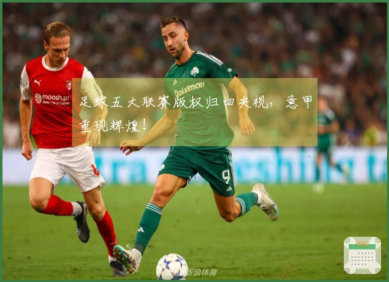 足球五大联赛版权归回央视，意甲重现辉煌！