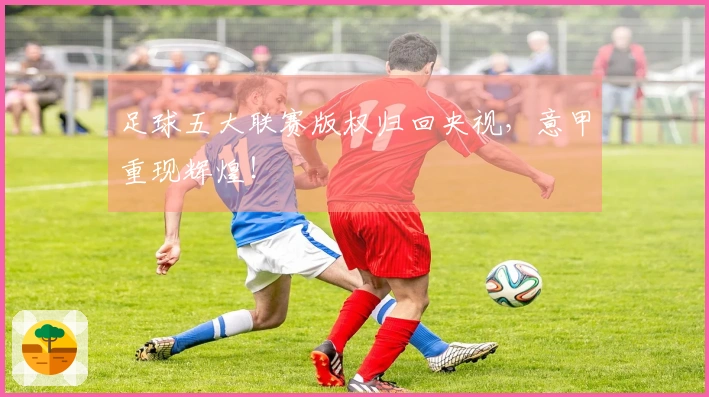 足球五大联赛版权归回央视，意甲重现辉煌！