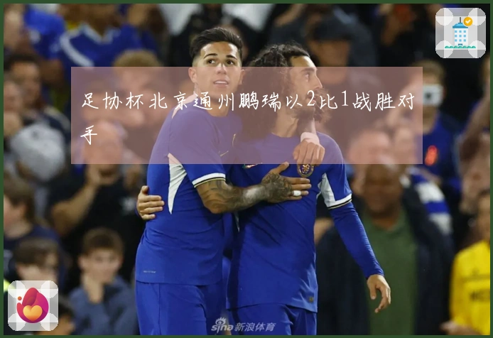 足协杯北京通州鹏瑞以2比1战胜对手